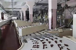 一路向陽 走進白俄羅斯