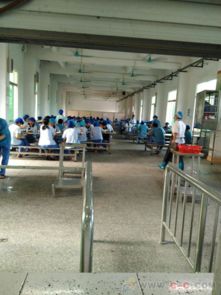 深耕十二載，專業鑄就信賴 德華餐飲引領工廠食堂對外承包新風尚